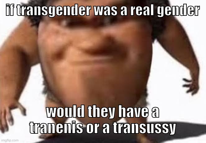 and what would it look like | if transgender was a real gender; would they have a tranenis or a transussy | image tagged in memes,funny,the grug,transgender,transenis,transussy | made w/ Imgflip meme maker