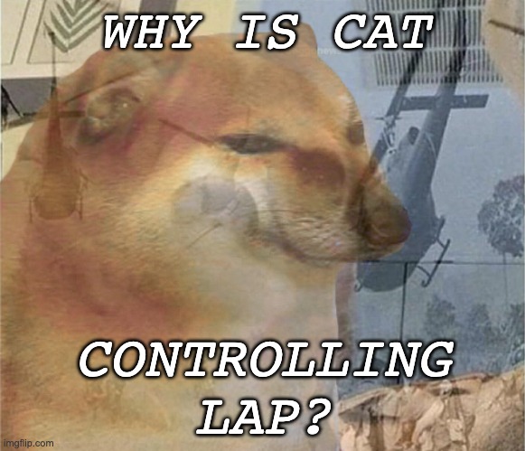 Dog haz bin WRONGED. | WHY IS CAT; CONTROLLING
LAP? | image tagged in cheems ptsd,cheems,dogs,doge,cat | made w/ Imgflip meme maker