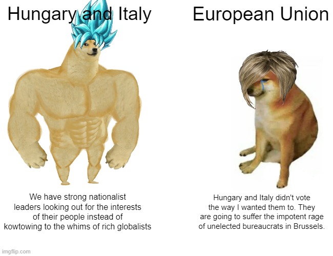 Buff Doge vs. Cheems |  Hungary and Italy; European Union; We have strong nationalist leaders looking out for the interests of their people instead of kowtowing to the whims of rich globalists; Hungary and Italy didn't vote the way I wanted them to. They are going to suffer the impotent rage of unelected bureaucrats in Brussels. | image tagged in memes,buff doge vs cheems | made w/ Imgflip meme maker