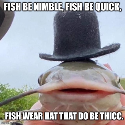 Thicc hat | FISH BE NIMBLE, FISH BE QUICK, FISH WEAR HAT THAT DO BE THICC. | image tagged in thicc,hat,fish,bikini bottom,spongebob,dr seuss | made w/ Imgflip meme maker