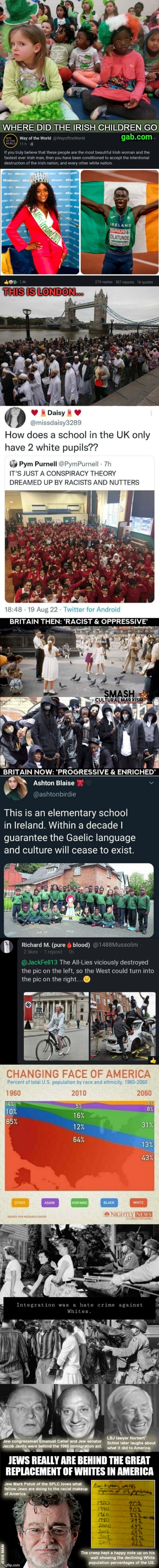 THIS IS A WHITE GENOCIDE | image tagged in this is a white genocide | made w/ Imgflip meme maker