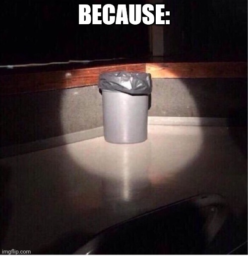 Garbage Can | BECAUSE: | image tagged in garbage can | made w/ Imgflip meme maker