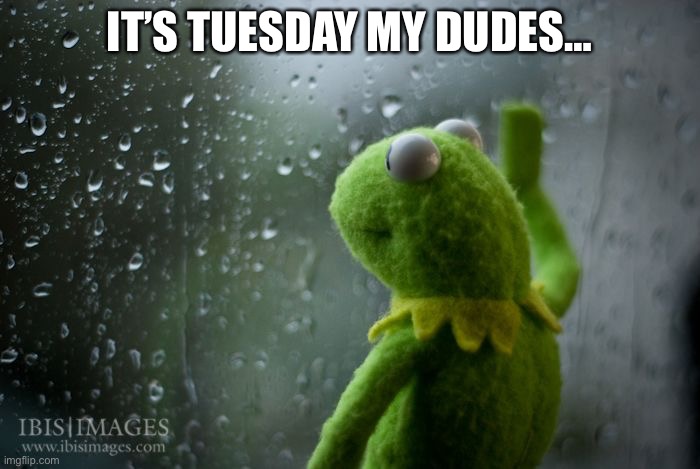 UNPREDICTABLE | IT’S TUESDAY MY DUDES… | image tagged in kermit window | made w/ Imgflip meme maker