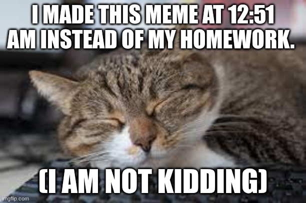When you still have 3 assignments left and you are a procrastinator |  I MADE THIS MEME AT 12:51 AM INSTEAD OF MY HOMEWORK. (I AM NOT KIDDING) | image tagged in cat | made w/ Imgflip meme maker
