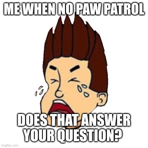 ME WHEN NO PAW PATROL DOES THAT ANSWER YOUR QUESTION? | made w/ Imgflip meme maker