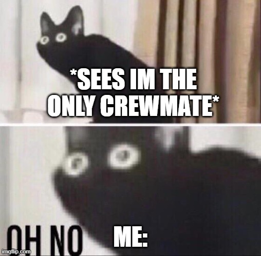 Oh no cat | *SEES IM THE ONLY CREWMATE* ME: | image tagged in oh no cat | made w/ Imgflip meme maker