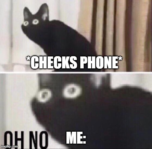 Oh no cat | *CHECKS PHONE* ME: | image tagged in oh no cat | made w/ Imgflip meme maker