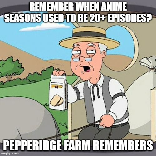 Pepperidge Farm Remembers Meme | REMEMBER WHEN ANIME SEASONS USED TO BE 20+ EPISODES? PEPPERIDGE FARM REMEMBERS | image tagged in memes,pepperidge farm remembers,anime | made w/ Imgflip meme maker