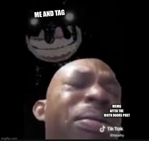 My patience is waning
Is this entertaining? | ME AND TAG; MSMG AFTER THE 100TH DOORS POST | image tagged in screech and crying guy | made w/ Imgflip meme maker