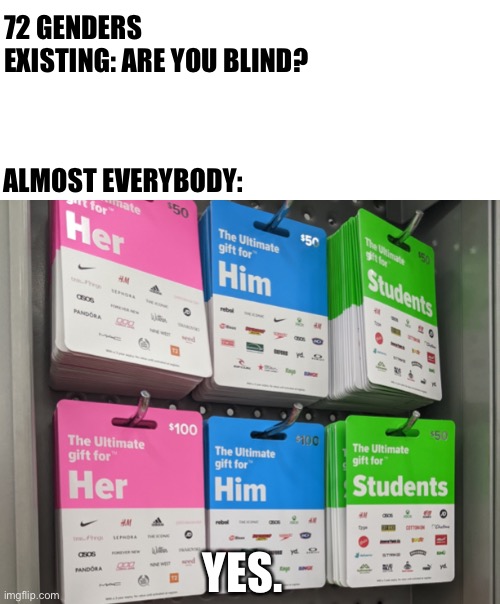 Non-Binary Brain Goes brrrrrrrrrr | 72 GENDERS EXISTING: ARE YOU BLIND? ALMOST EVERYBODY:; YES. | image tagged in what happened to the 72 other genders,lgbtq | made w/ Imgflip meme maker