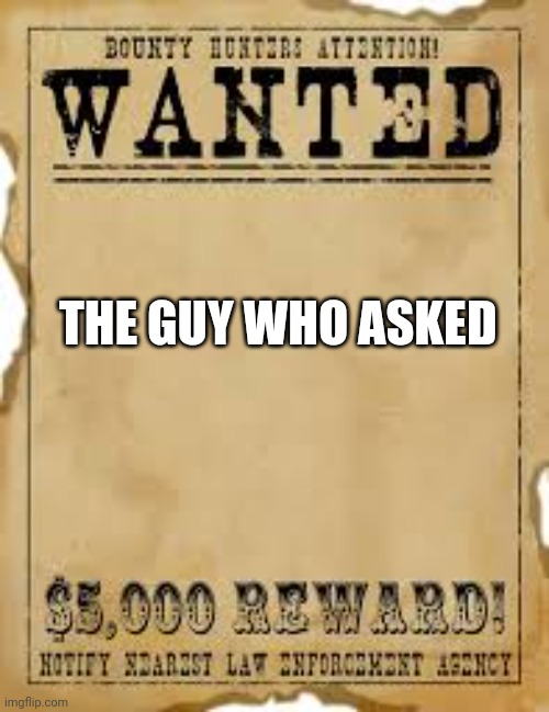 The guy who asked | THE GUY WHO ASKED | image tagged in america's most wanted | made w/ Imgflip meme maker