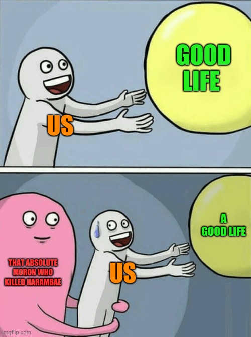He ruined everything | GOOD LIFE; US; A GOOD LIFE; THAT ABSOLUTE MORON WHO KILLED HARAMBAE; US | image tagged in memes,running away balloon,harambae | made w/ Imgflip meme maker