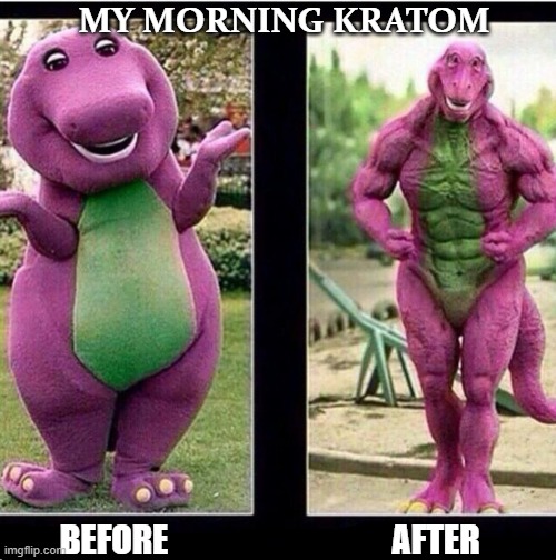 Barney Before After | MY MORNING KRATOM; AFTER; BEFORE | image tagged in barney | made w/ Imgflip meme maker