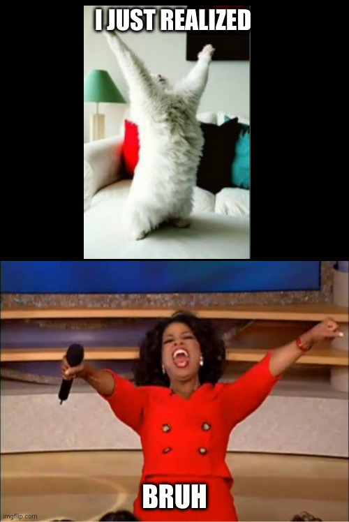 ... I just relised | I JUST REALIZED; BRUH | image tagged in memes,oprah you get a | made w/ Imgflip meme maker