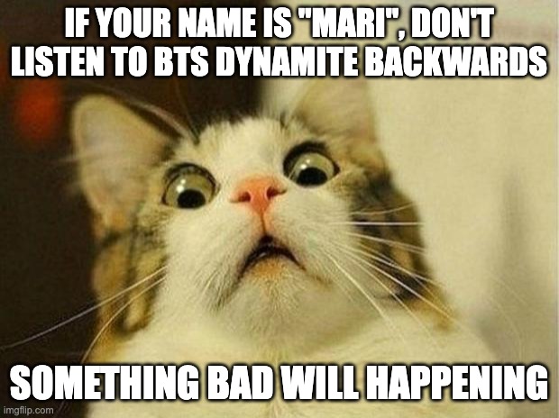 BTS - Dynamite (Backwards) | IF YOUR NAME IS "MARI", DON'T LISTEN TO BTS DYNAMITE BACKWARDS; SOMETHING BAD WILL HAPPENING | image tagged in memes,scared cat | made w/ Imgflip meme maker