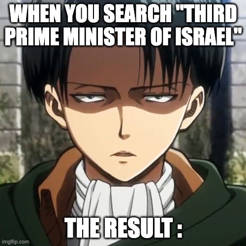 Third prime minister of Israel meme | WHEN YOU SEARCH "THIRD PRIME MINISTER OF ISRAEL"; THE RESULT : | image tagged in levi | made w/ Imgflip meme maker