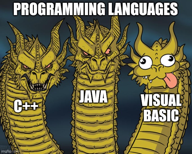 What do I know |  PROGRAMMING LANGUAGES; JAVA; VISUAL BASIC; C++ | image tagged in three-headed dragon,programming,language,computer,pooping,silly | made w/ Imgflip meme maker