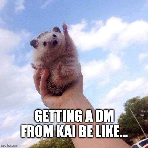 Kai memes | every time I get a DM from Kai | image tagged in kai memes,kai meme,kai ai memes,kai ai meme,funny,kai wellness companion | made w/ Imgflip meme maker
