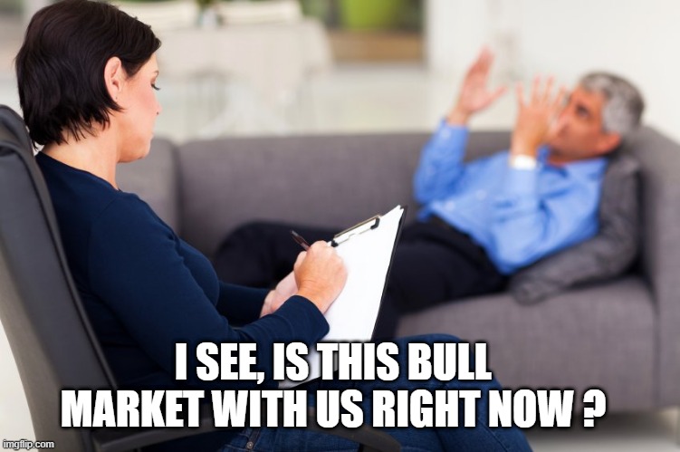 These X Are they in the room with us right now? | I SEE, IS THIS BULL MARKET WITH US RIGHT NOW ? | image tagged in these x are they in the room with us right now | made w/ Imgflip meme maker