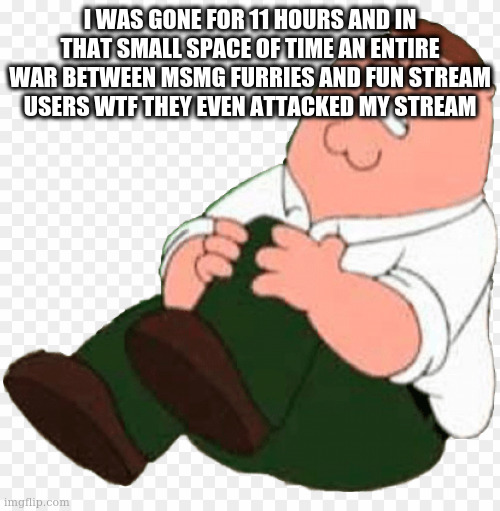 Peter hurts his knee | I WAS GONE FOR 11 HOURS AND IN THAT SMALL SPACE OF TIME AN ENTIRE WAR BETWEEN MSMG FURRIES AND FUN STREAM USERS WTF THEY EVEN ATTACKED MY STREAM | image tagged in peter hurts his knee | made w/ Imgflip meme maker