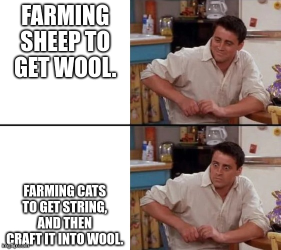 farming | FARMING SHEEP TO GET WOOL. FARMING CATS TO GET STRING, AND THEN CRAFT IT INTO WOOL. | image tagged in surprised joey | made w/ Imgflip meme maker