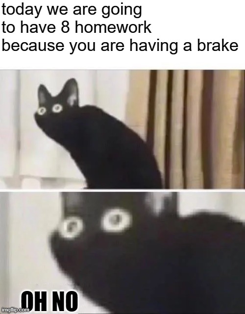 even more then last time | today we are going to have 8 homework because you are having a brake; OH NO | image tagged in oh no black cat,homework | made w/ Imgflip meme maker