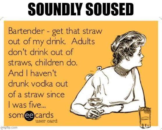 Soundly Soused | SOUNDLY SOUSED | image tagged in memes,drinking,alcoholism,humor,dark humor,funny | made w/ Imgflip meme maker