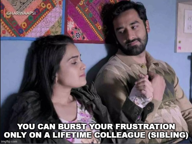 fam | YOU CAN BURST YOUR FRUSTRATION ONLY ON A LIFETIME COLLEAGUE (SIBLING) | image tagged in family | made w/ Imgflip meme maker