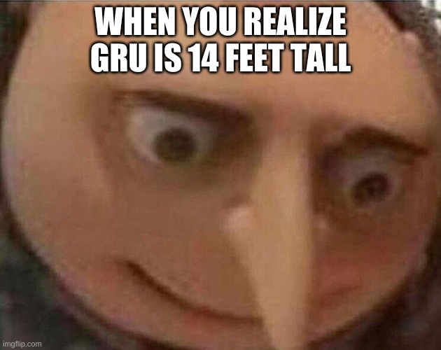 gru meme | WHEN YOU REALIZE GRU IS 14 FEET TALL | image tagged in gru meme | made w/ Imgflip meme maker