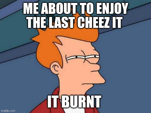 true | ME ABOUT TO ENJOY THE LAST CHEEZ IT; IT BURNT | image tagged in memes,futurama fry | made w/ Imgflip meme maker