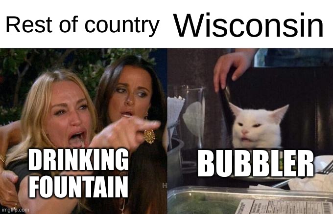 Woman Yelling At Cat Meme | Rest of country; Wisconsin; BUBBLER; DRINKING FOUNTAIN | image tagged in memes,woman yelling at cat | made w/ Imgflip meme maker
