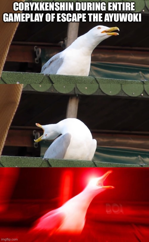Inhaling seagull | CORYXKENSHIN DURING ENTIRE GAMEPLAY OF ESCAPE THE AYUWOKI | image tagged in inhaling seagull | made w/ Imgflip meme maker