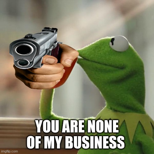 But That's None Of My Business Meme | YOU ARE NONE OF MY BUSINESS | image tagged in memes,but that's none of my business,kermit the frog | made w/ Imgflip meme maker