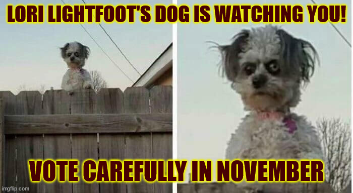 Lightfoot's Dog | LORI LIGHTFOOT'S DOG IS WATCHING YOU! VOTE CAREFULLY IN NOVEMBER | made w/ Imgflip meme maker