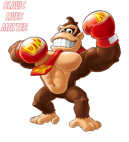 Punch Out!! Wii DK | SLAVIC LIVES MATTER | image tagged in punch out wii dk,slavic | made w/ Imgflip meme maker