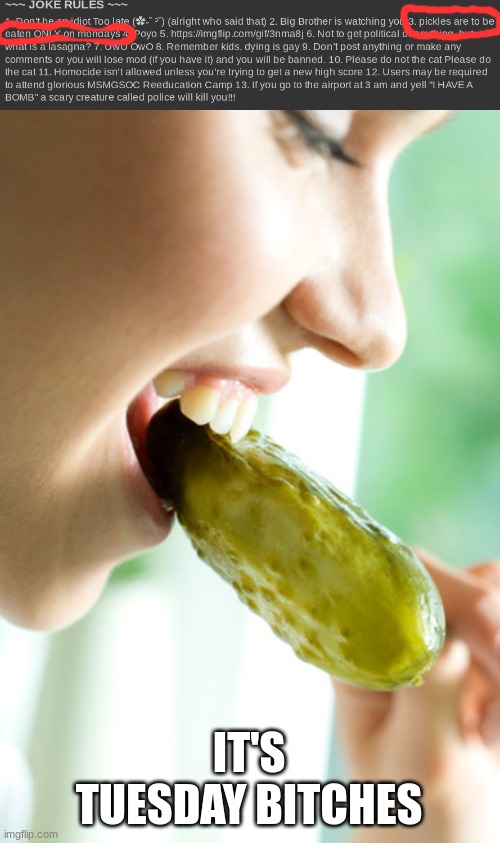 IT'S TUESDAY BITCHES | made w/ Imgflip meme maker