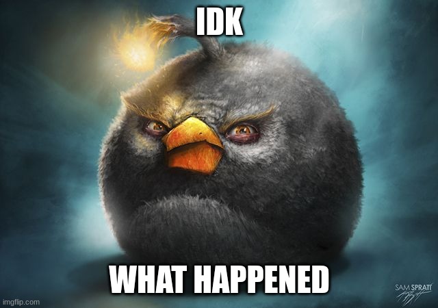 angry birds bomb | IDK; WHAT HAPPENED | image tagged in angry birds bomb | made w/ Imgflip meme maker