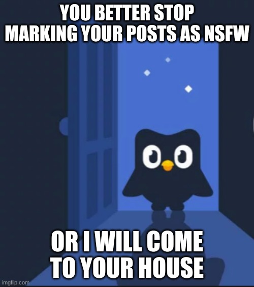 Duolingo bird | YOU BETTER STOP MARKING YOUR POSTS AS NSFW; OR I WILL COME TO YOUR HOUSE | image tagged in duolingo bird | made w/ Imgflip meme maker