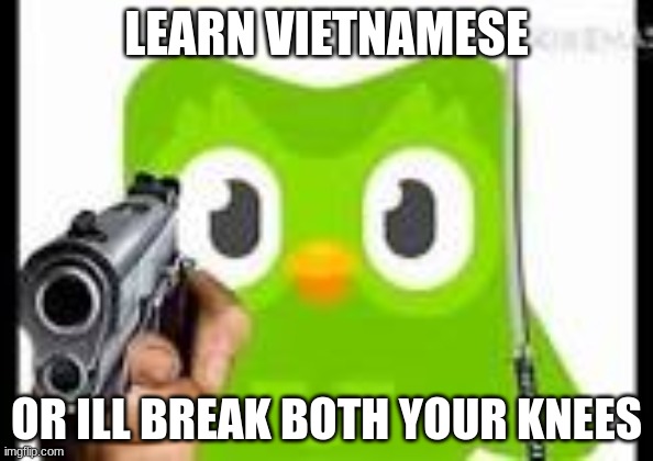 Hmmmmmmmmmmmmmmmmmmm | LEARN VIETNAMESE; OR ILL BREAK BOTH YOUR KNEES | image tagged in doulingo holding a gun | made w/ Imgflip meme maker