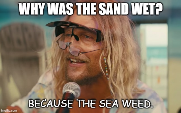 Daily Bad Dad Joke September 27 2022 | WHY WAS THE SAND WET? BECAUSE THE SEA WEED. | image tagged in beach bum | made w/ Imgflip meme maker