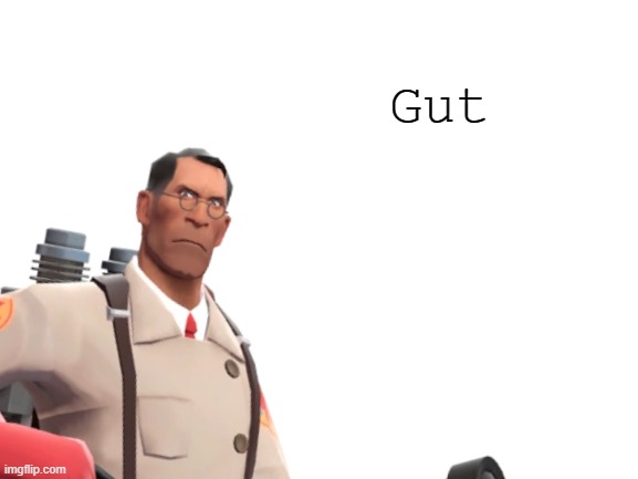 Gut | made w/ Imgflip meme maker