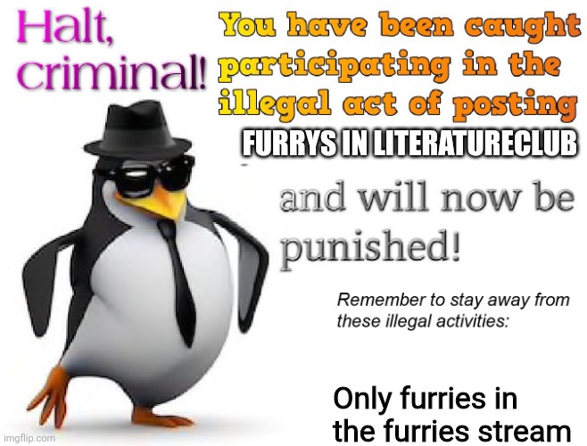 halt criminal! | FURRYS IN LITERATURECLUB Only furries in the furries stream | image tagged in halt criminal | made w/ Imgflip meme maker
