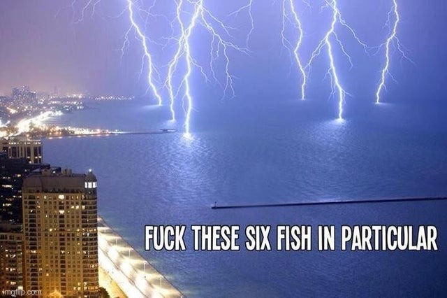 fuck you fish | image tagged in fuck you | made w/ Imgflip meme maker