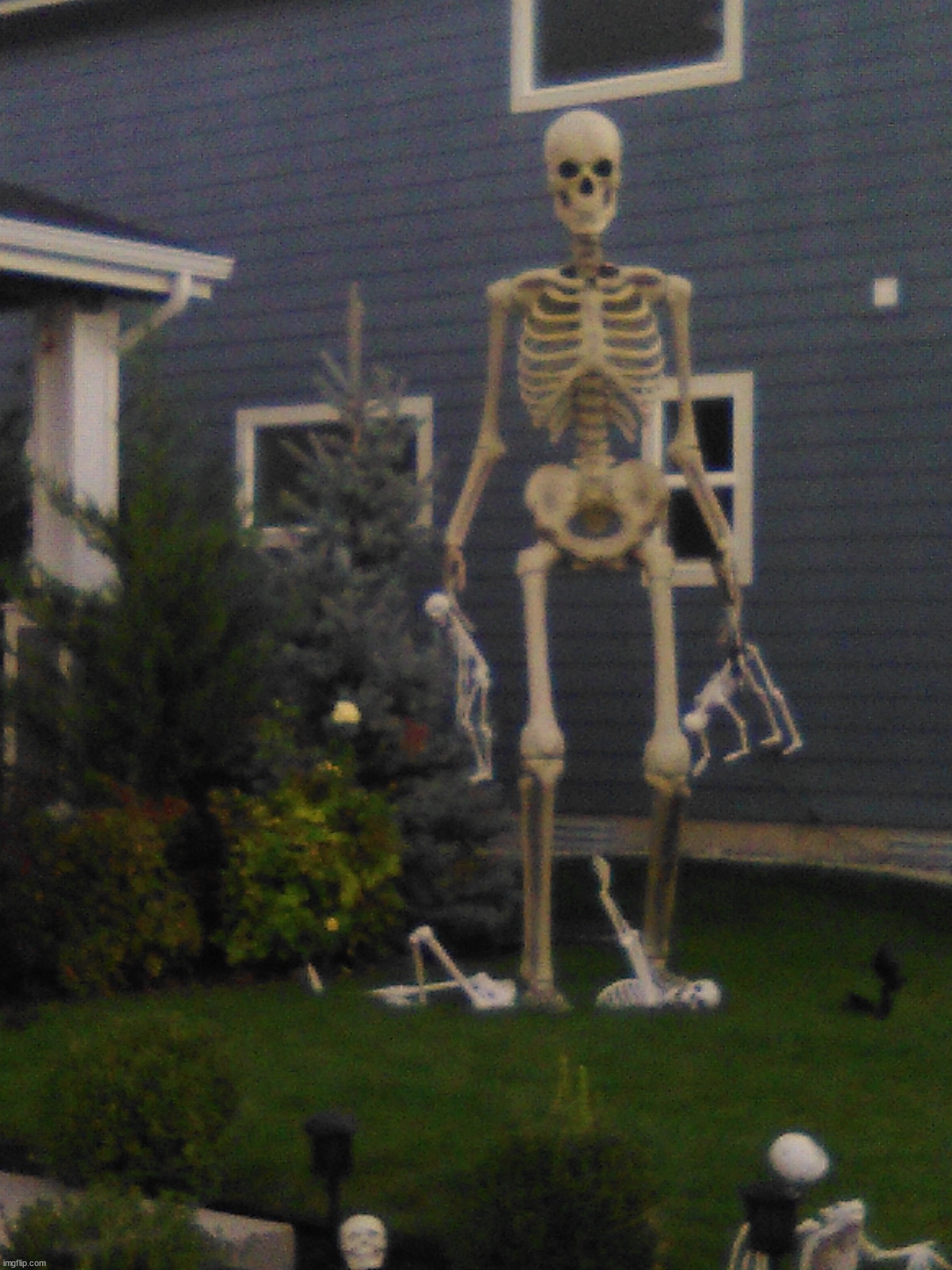 Saw these in my neighborhood this year. | image tagged in picture,spooky | made w/ Imgflip meme maker