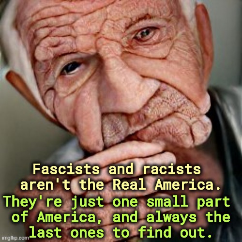 They dream they're the majority, and they never will be. | Fascists and racists 
aren't the Real America. They're just one small part 
of America, and always the
last ones to find out. | image tagged in fascists,racists,america,minorities | made w/ Imgflip meme maker