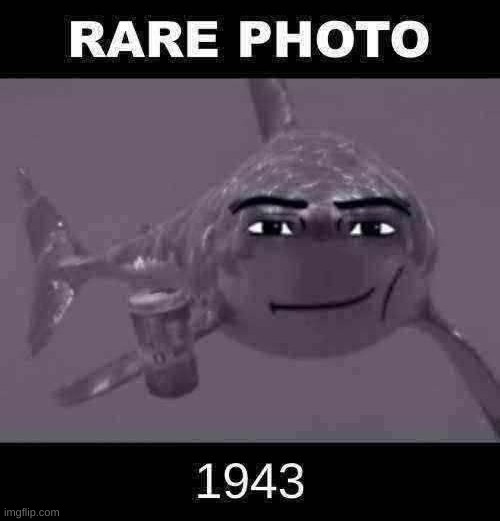 RARE PHOTO OF A SHARK 1943 | made w/ Imgflip meme maker