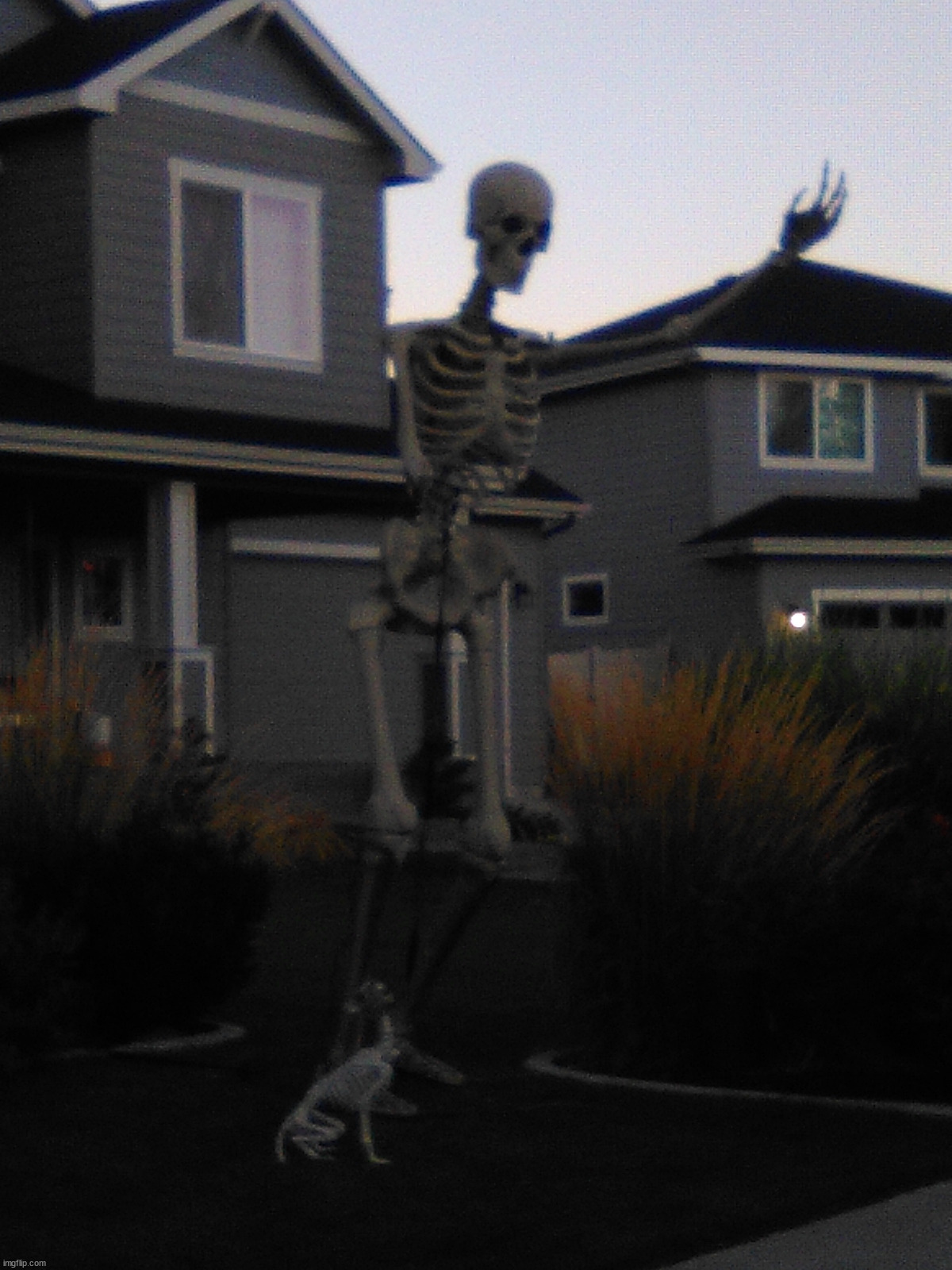 Skeleton walking the dog | image tagged in picture,spooky,skeleton | made w/ Imgflip meme maker
