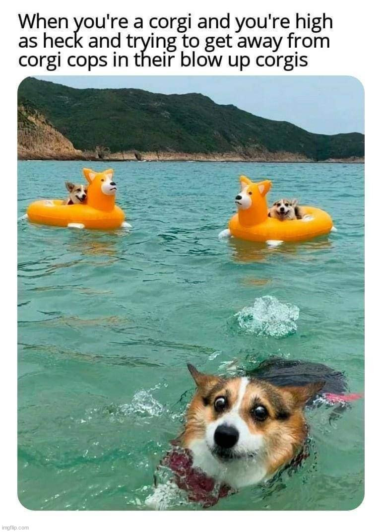 image tagged in repost | made w/ Imgflip meme maker