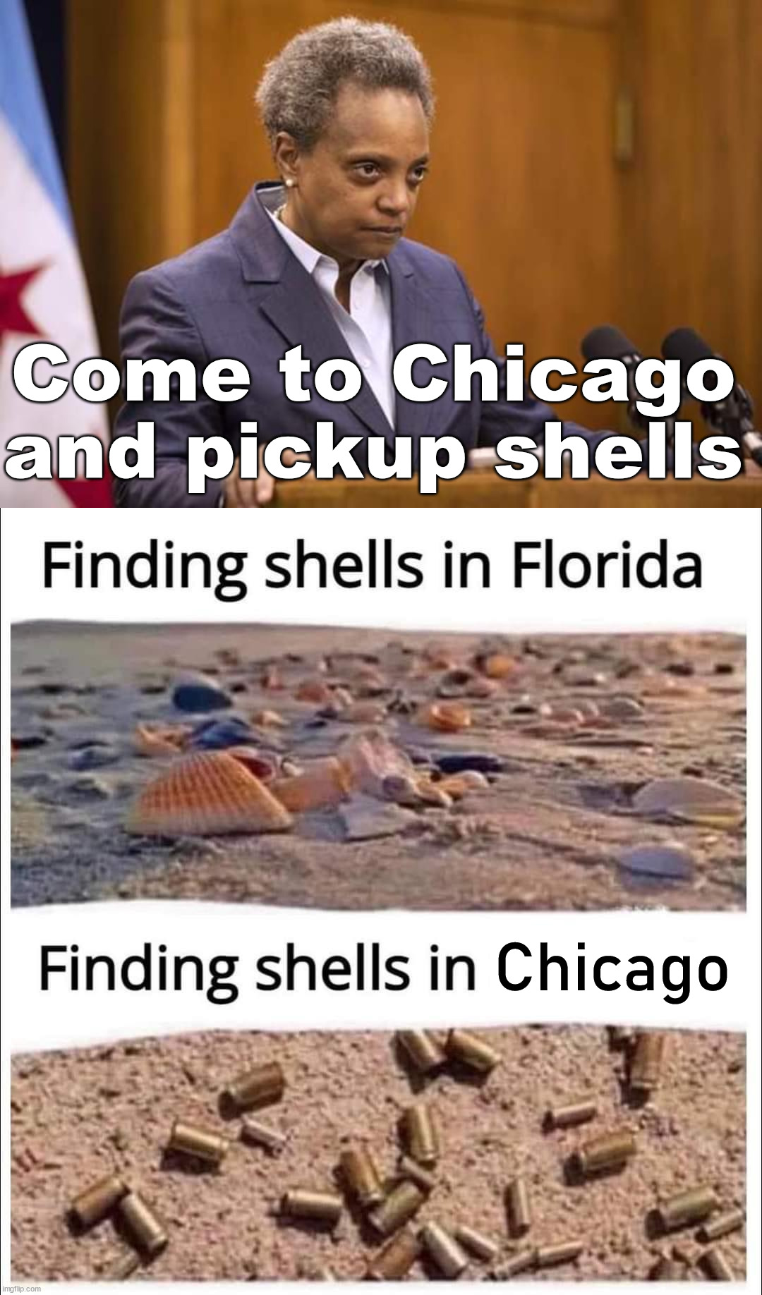The shells are beautiful this tme of the year | Come to Chicago and pickup shells; Chicago | image tagged in mayor chicago,political meme,shell | made w/ Imgflip meme maker