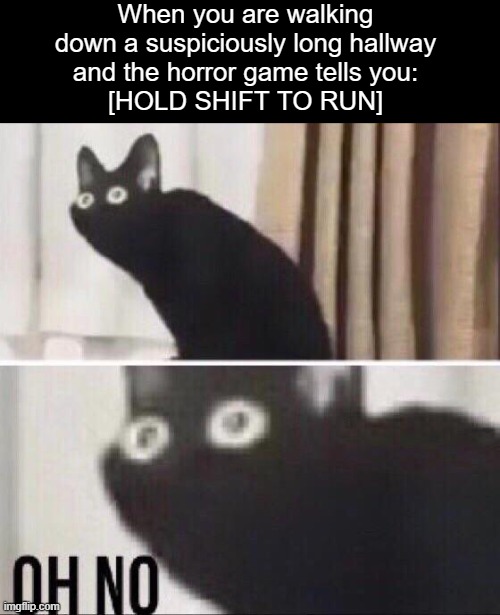 You don't wanna know what's behind you | When you are walking
down a suspiciously long hallway
and the horror game tells you:
[HOLD SHIFT TO RUN] | image tagged in oh no cat,horror games,gaming,memes | made w/ Imgflip meme maker
